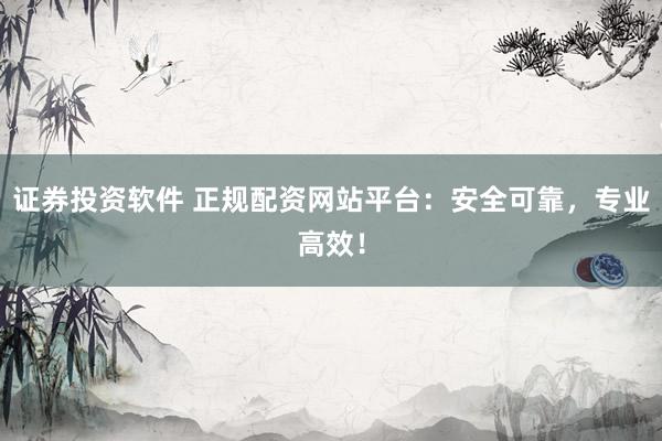 证券投资软件 正规配资网站平台：安全可靠，专业高效！