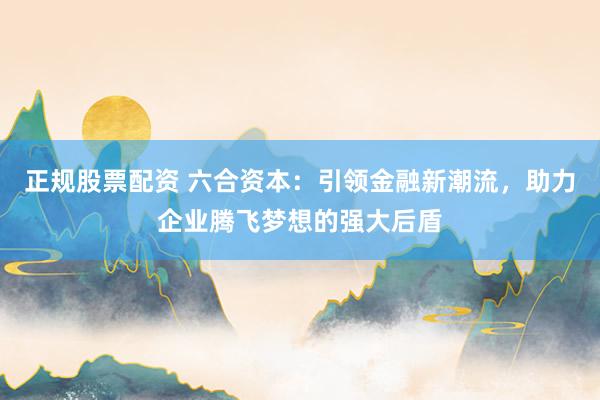 正规股票配资 六合资本：引领金融新潮流，助力企业腾飞梦想的强大后盾