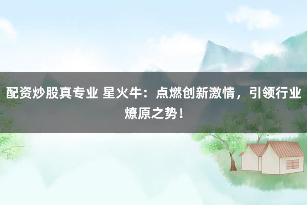 配资炒股真专业 星火牛：点燃创新激情，引领行业燎原之势！