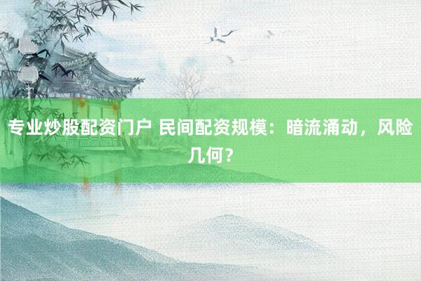 专业炒股配资门户 民间配资规模:暗流涌动,风险几何?