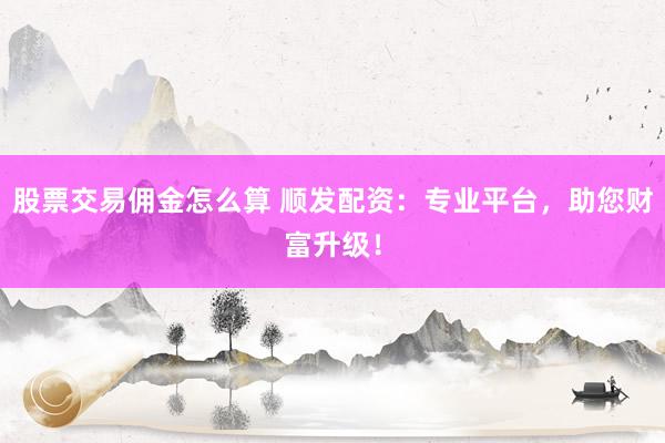 股票交易佣金怎么算 顺发配资：专业平台，助您财富升级！