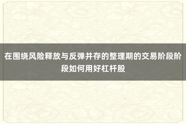 在围绕风险释放与反弹并存的整理期的交易阶段阶段如何用好杠杆股