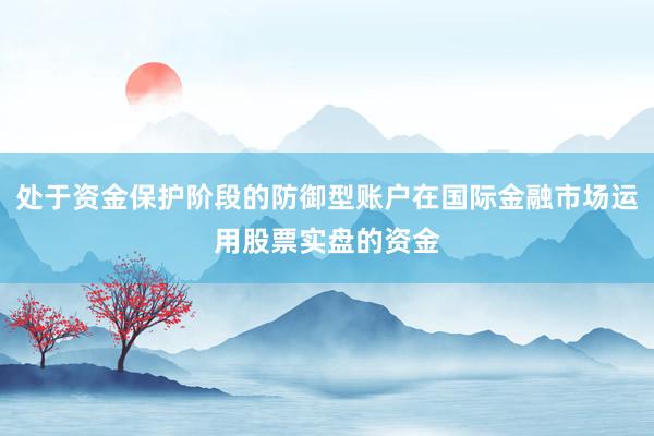处于资金保护阶段的防御型账户在国际金融市场运用股票实盘的资金
