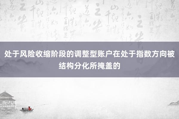 处于风险收缩阶段的调整型账户在处于指数方向被结构分化所掩盖的