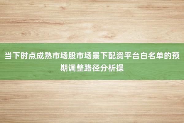 当下时点成熟市场股市场景下配资平台白名单的预期调整路径分析操