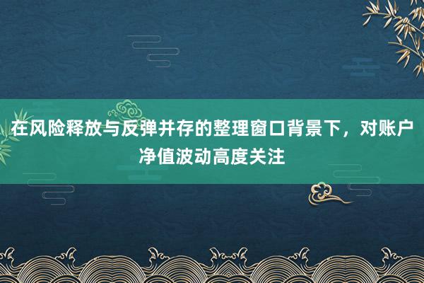 在风险释放与反弹并存的整理窗口背景下，对账户净值波动高度关注