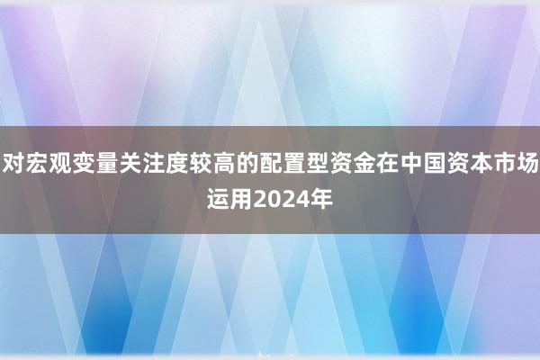 对宏观变量关注度较高的配置型资金在中国资本市场运用2024年