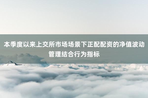 本季度以来上交所市场场景下正配配资的净值波动管理结合行为指标