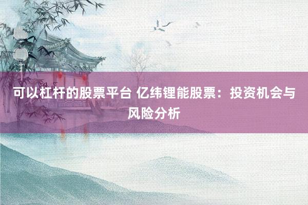 可以杠杆的股票平台 亿纬锂能股票：投资机会与风险分析