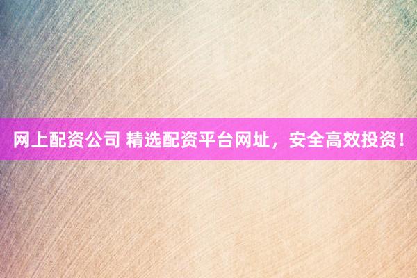网上配资公司 精选配资平台网址，安全高效投资！