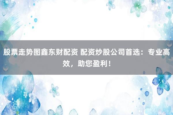 股票走势图鑫东财配资 配资炒股公司首选：专业高效，助您盈利！